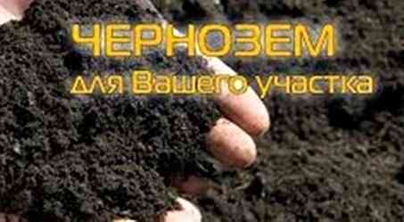 Продам навоз, перегной Кемерово Кемерово