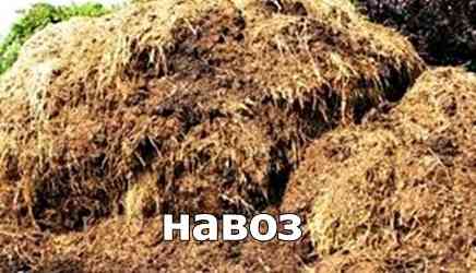 Продам навоз, перегной Кемерово Кемерово