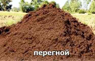 Продам навоз, перегной Кемерово Кемерово