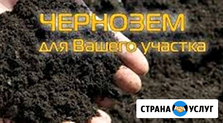 Продам навоз, перегной Кемерово Кемерово - изображение 4