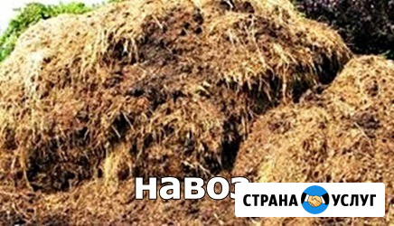 Продам навоз, перегной Кемерово Кемерово - изображение 2