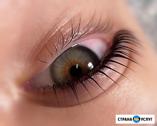Ламинирование ресниц Брови Обучение Красноярск - изображение 3