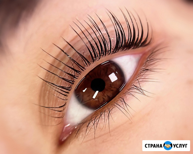 Ламинирование ресниц Брови Обучение Красноярск - изображение 4