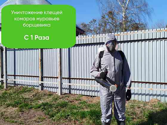Обработка участка от клещей, комаров, муравьев, борщевика Киров