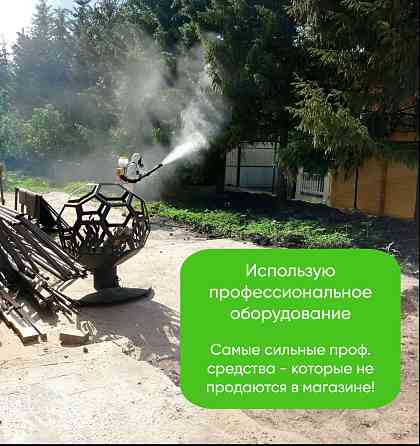 Обработка участка от клещей, комаров, муравьев, борщевика Киров