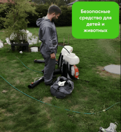 Обработка участка от клещей, комаров, муравьев, борщевика Киров