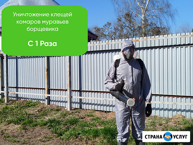 Обработка участка от клещей, комаров, муравьев, борщевика Киров - изображение 1