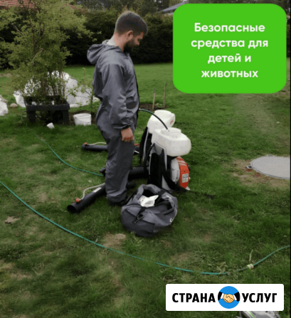 Обработка участка от клещей, комаров, муравьев, борщевика Киров - изображение 2