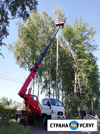 Услуги атовышки Выборг - изображение 3