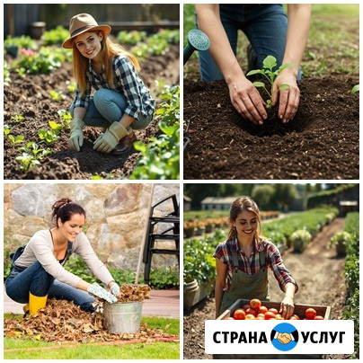 Услуги по саду, огороду Кемерово - изображение 1